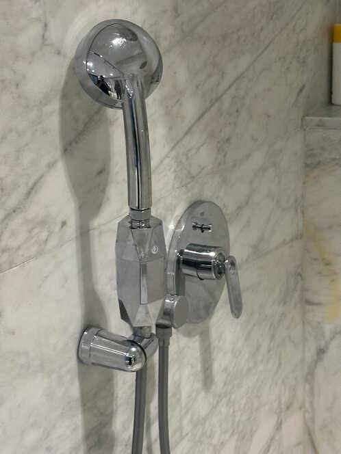 shower purifier